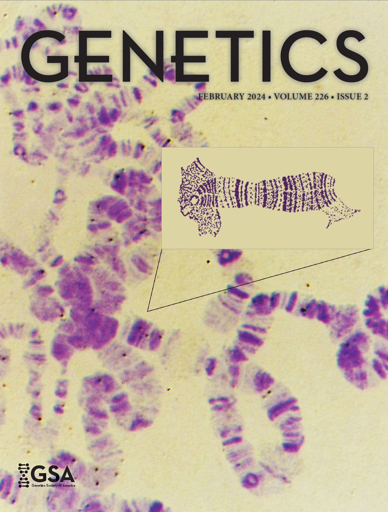 Genetics volume 226
