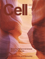January 2009 cell magazine cover